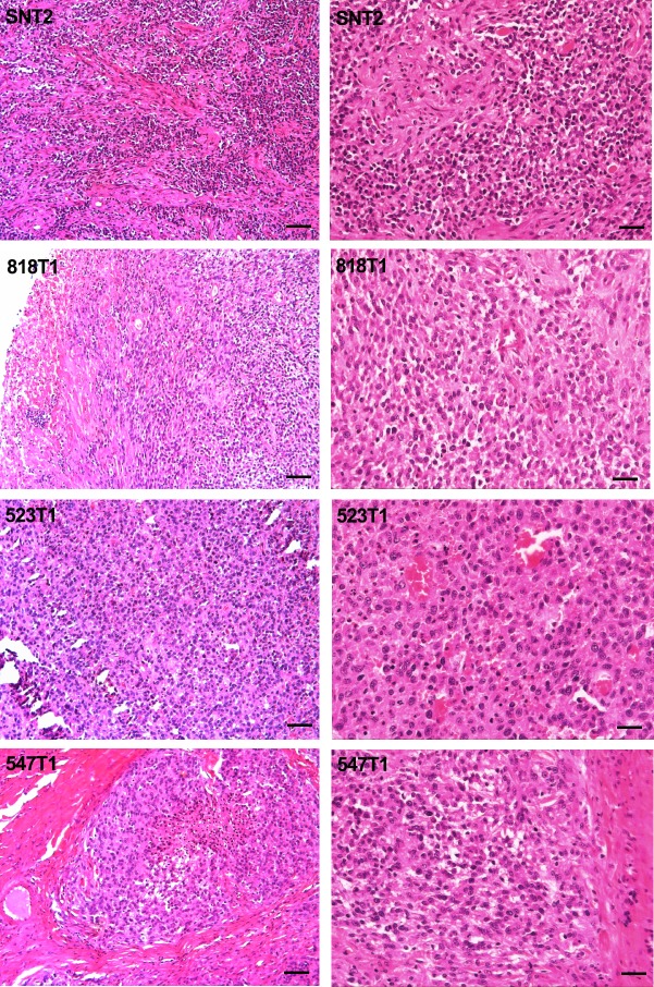 Figure 3—figure supplement 3.