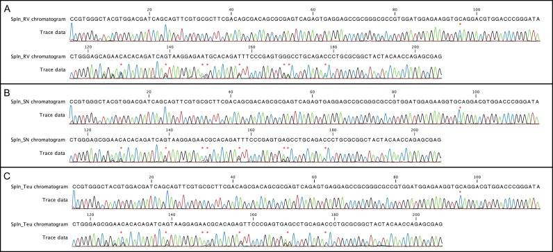 Figure 5—figure supplement 1.