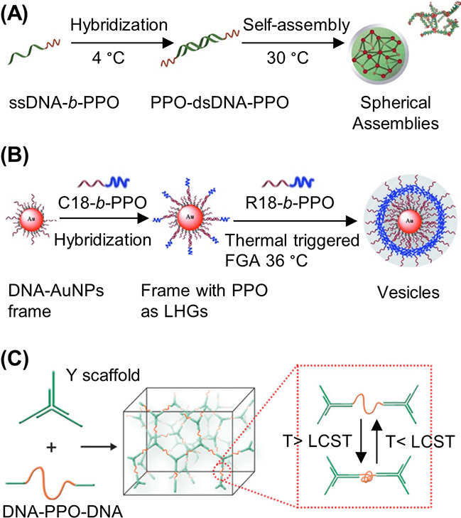 Figure 24