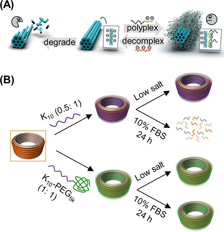 Figure 29