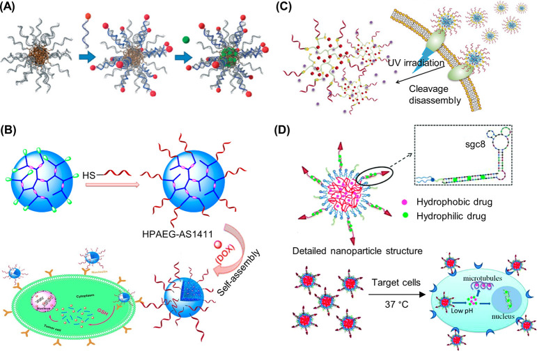 Figure 31