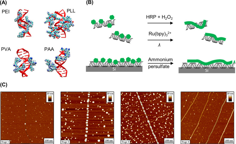 Figure 13