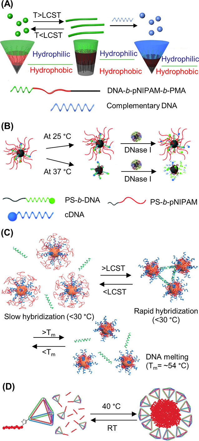 Figure 23