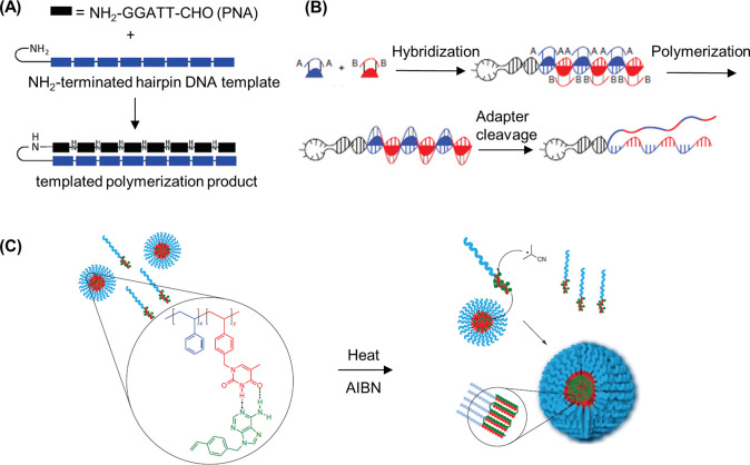 Figure 12