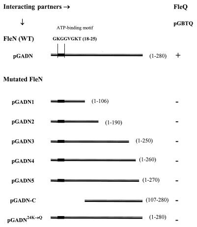 FIG. 4