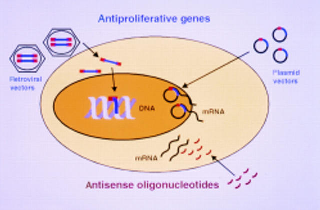 Figure 1  