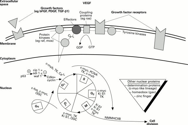 Figure 2  