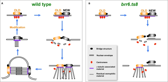 Figure 10.