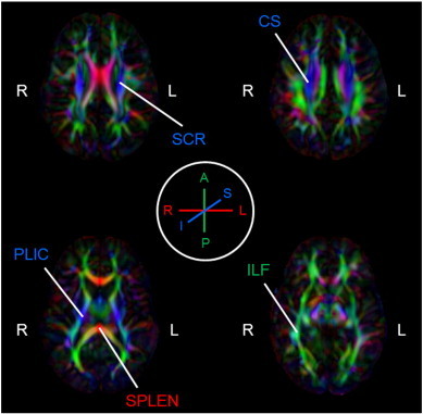 Fig. 2