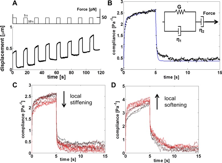 FIGURE 1: