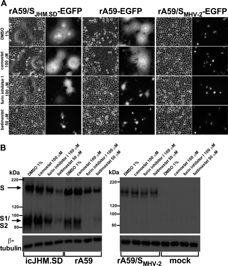 FIG 6