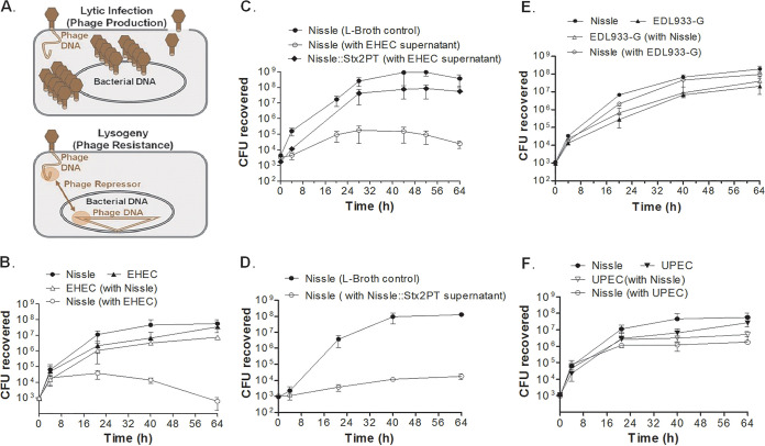 FIG 10