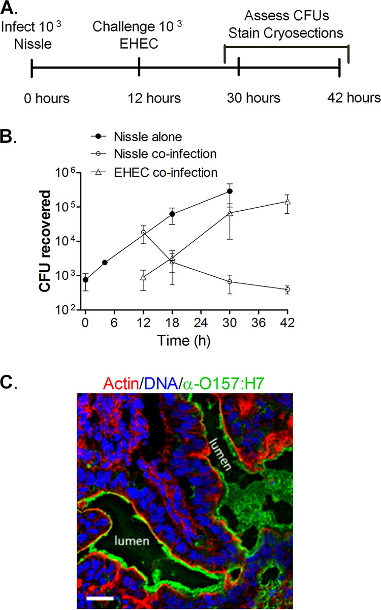 FIG 4