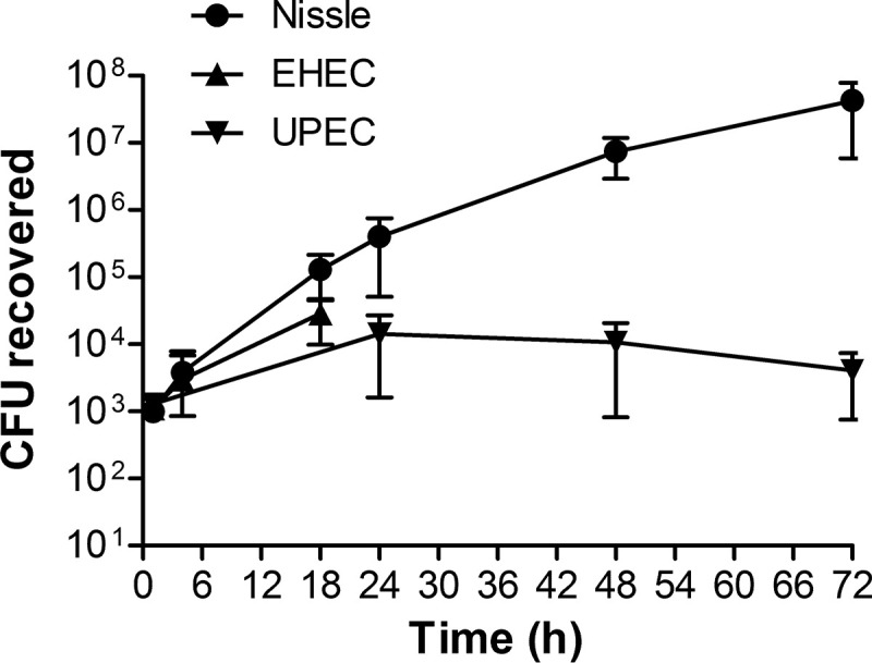 FIG 1