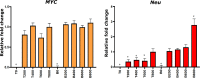 Figure 1—figure supplement 1.