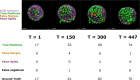 Figure 3—figure supplement 3.