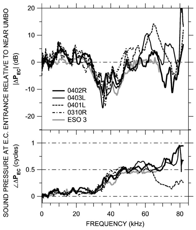 FIG. 7