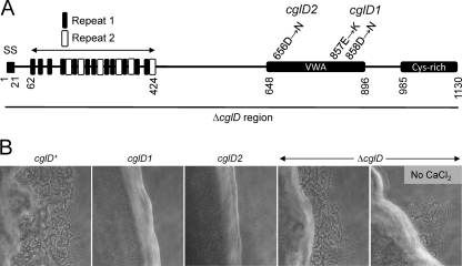 Fig 5