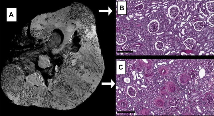 Fig. 3.