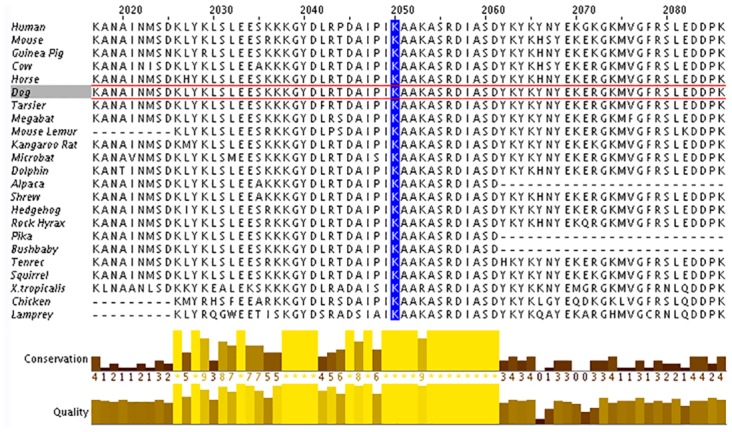 Fig 6