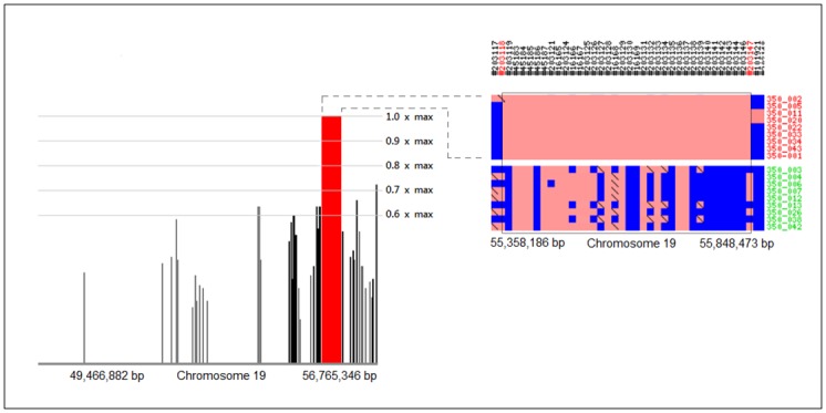 Fig 4