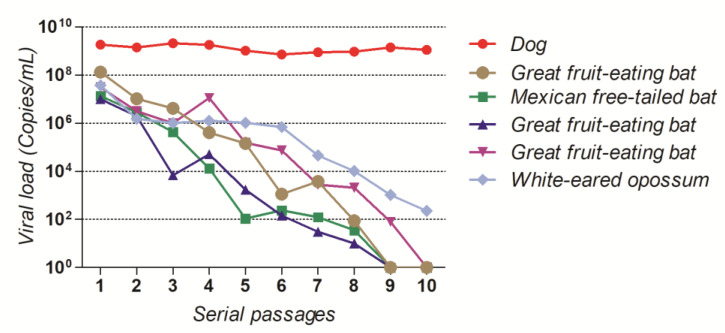 Figure 7