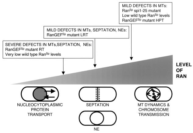 FIG. 9.