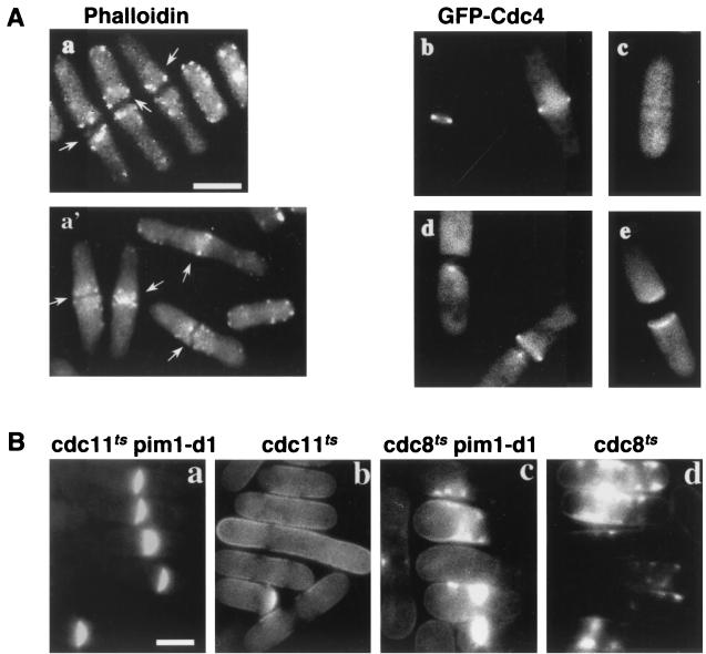 FIG. 8.