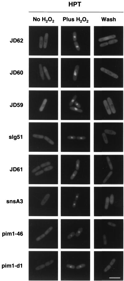 FIG. 7.