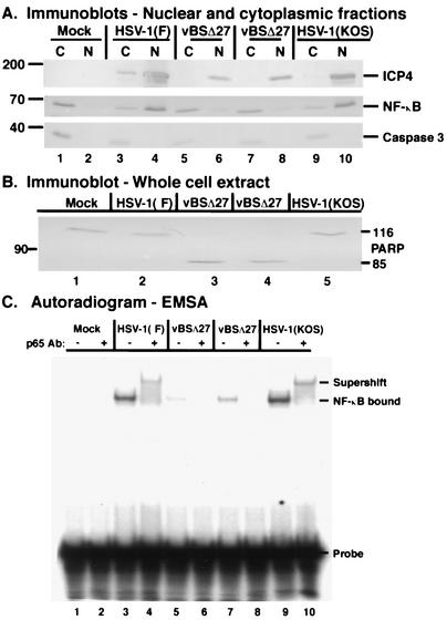 FIG. 7.