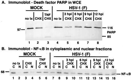 FIG. 5.