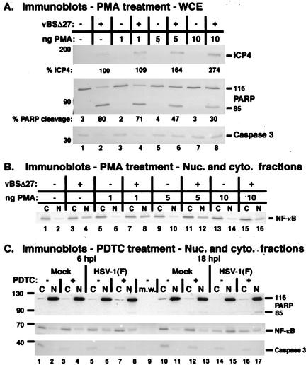 FIG. 8.