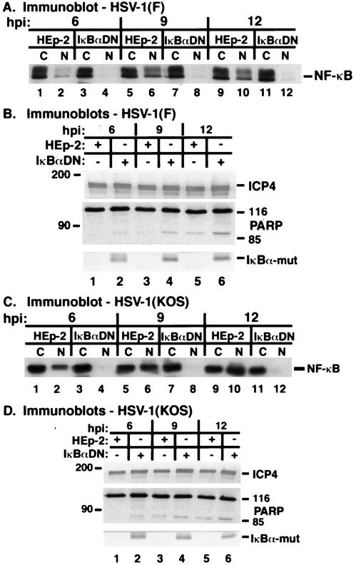 FIG. 10.