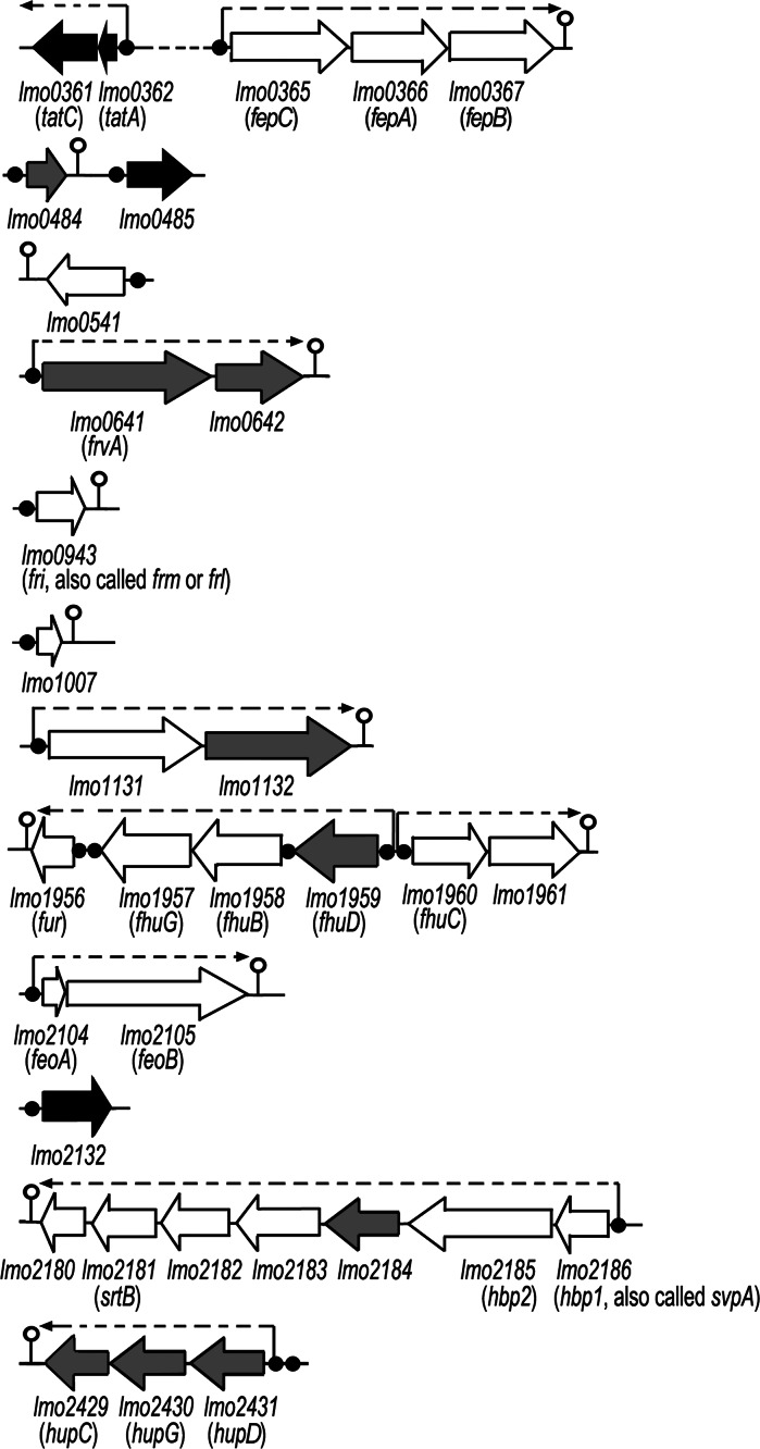 Fig. 3