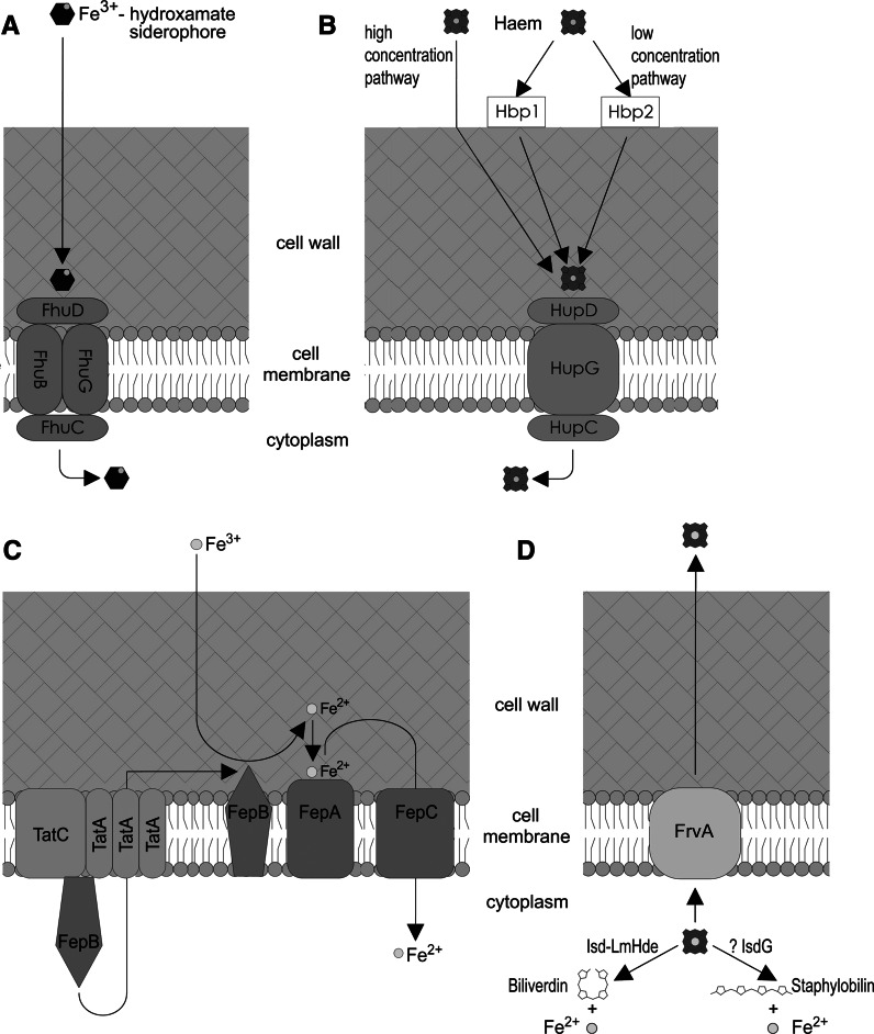 Fig. 1