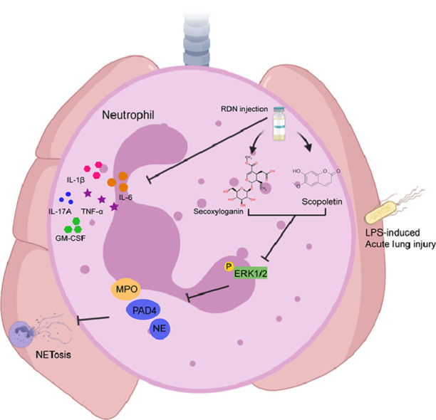 Image, graphical abstract