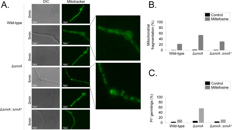 FIG 4