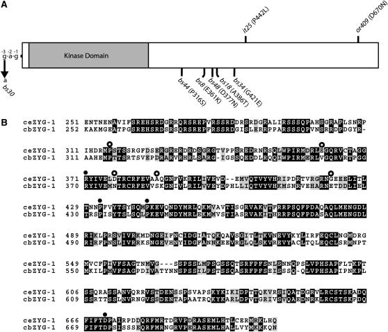 Figure 3.—