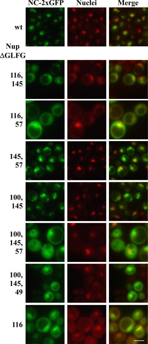 FIG. 6.