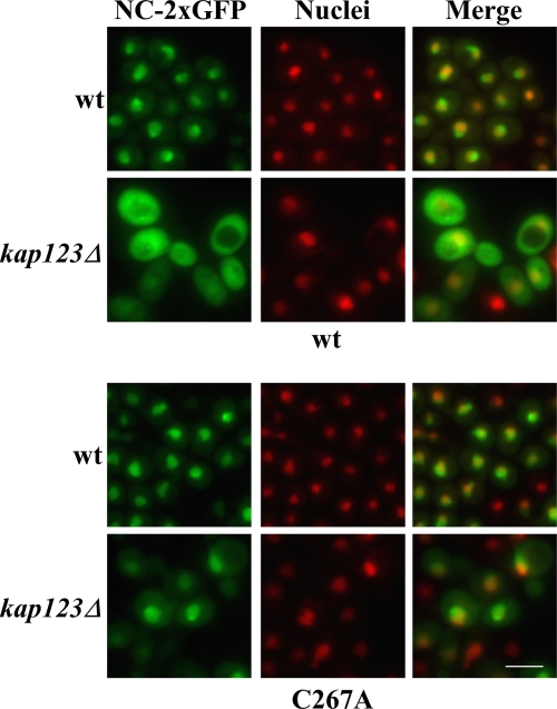 FIG. 7.