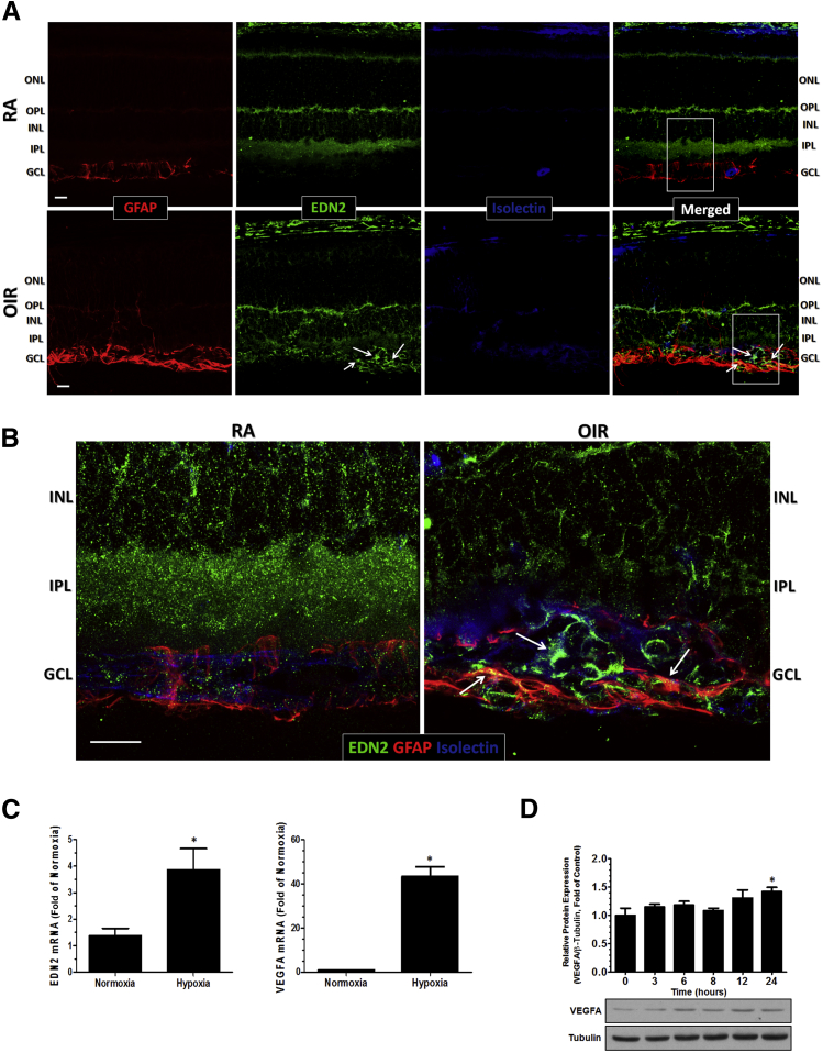 Figure 6