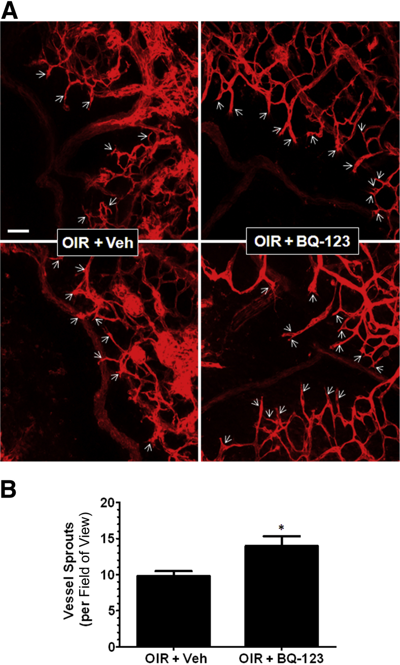 Figure 3