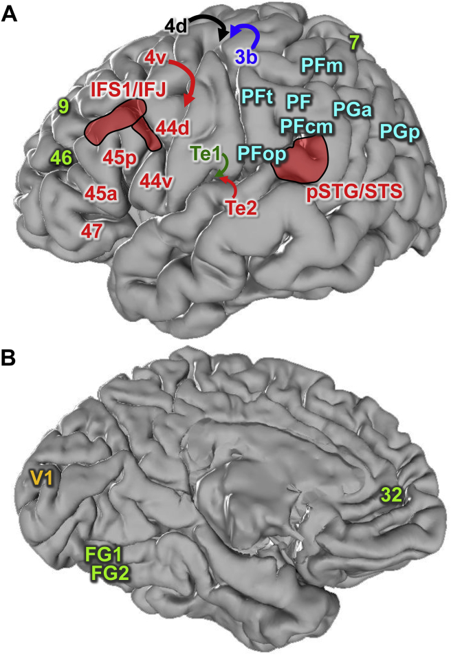 Fig. 1