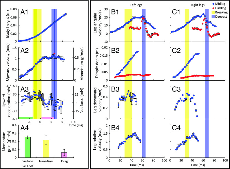 Fig. 3.