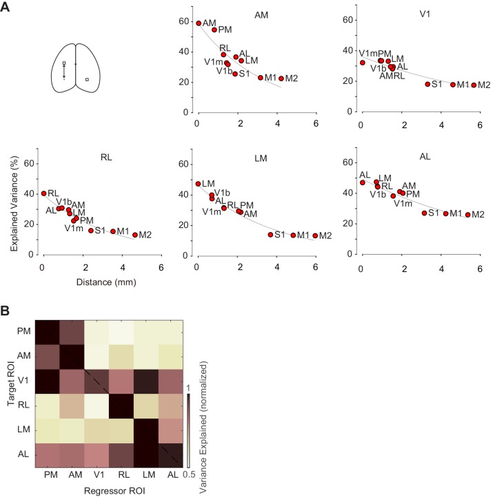 Figure 7—figure supplement 1.