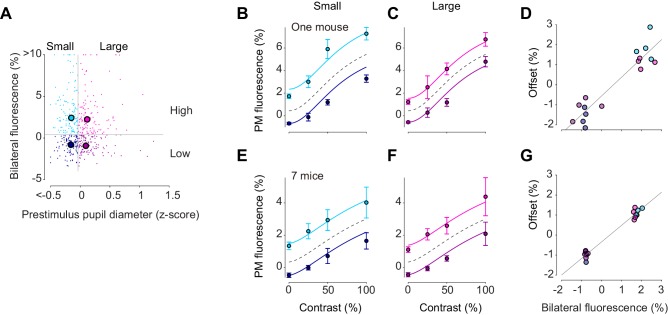 Figure 5—figure supplement 3.