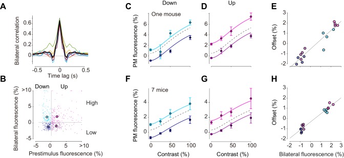 Figure 5—figure supplement 4.