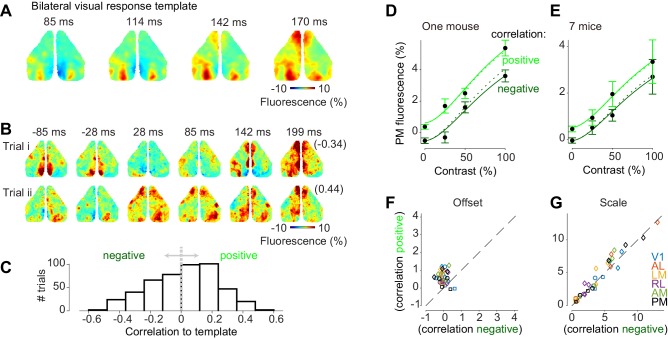 Figure 5—figure supplement 1.