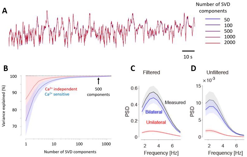 Figure 1—figure supplement 1.