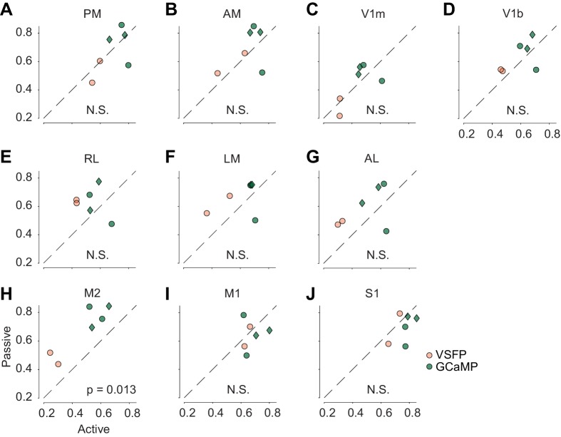 Figure 2—figure supplement 1.